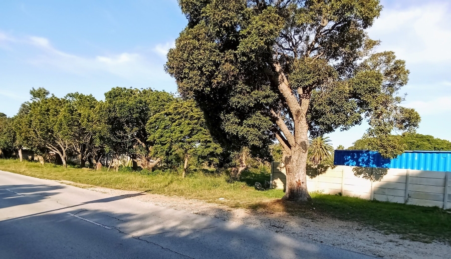 Commercial Property for Sale in Walmer Eastern Cape